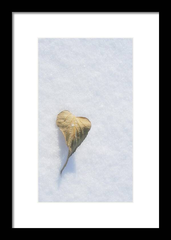Heart Framed Print featuring the photograph A Fading Heart by Julie Lueders 