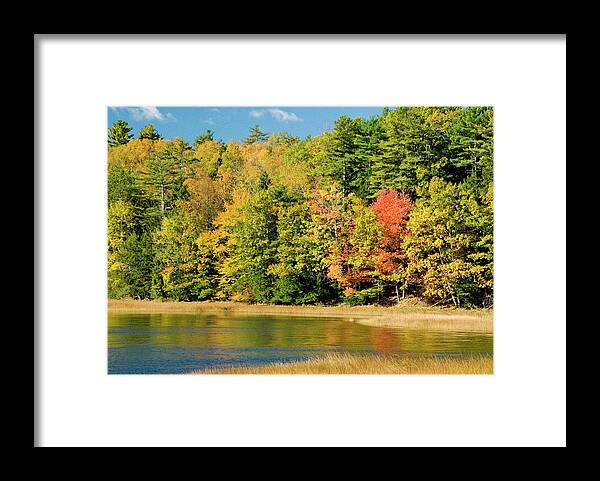 Pond Scene Framed Print featuring the photograph A Fall Pond  by Robert Suggs