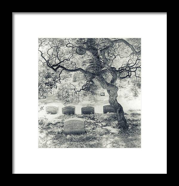 Cemetery Framed Print featuring the photograph A Family Tree by Jessica Jenney