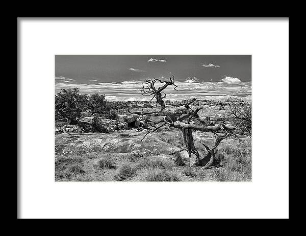 Canyonlands National Park Framed Print featuring the photograph Textures and Twists by Art Cole