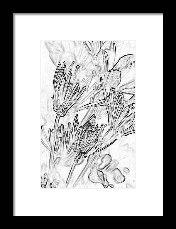Flowers Framed Print featuring the photograph A Flower Sketch by Julie Lueders 