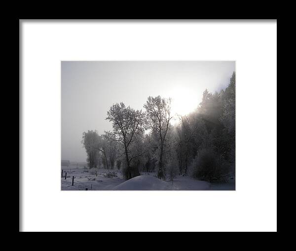 Winter Framed Print featuring the photograph A Frosty Morning by DeeLon Merritt