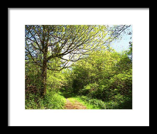 Greeting Card Framed Print featuring the photograph A Gentle Path by Allan Van Gasbeck