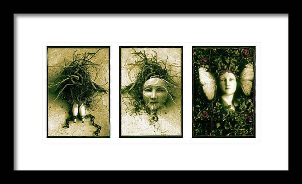 Triptych Framed Print featuring the photograph A Graft In Winter Triptych by David Chasey