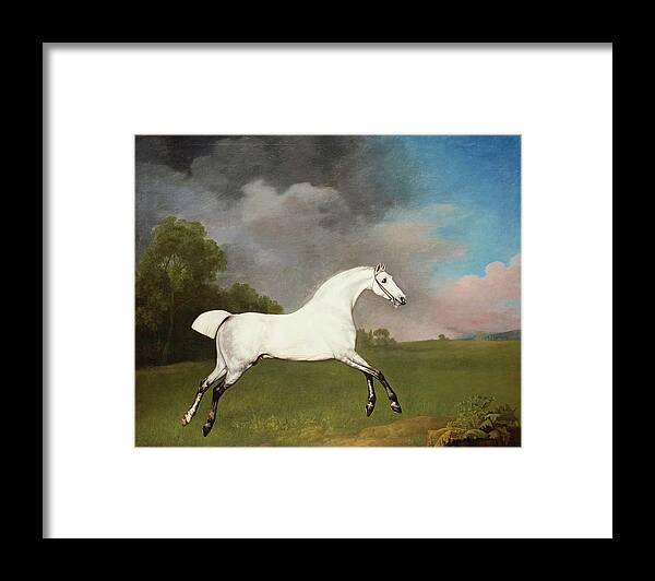 George Stubbs (1724-1806) A Grey Horse Signed And Dated 1793 Framed Print featuring the painting A Grey Horse by George Stubbs