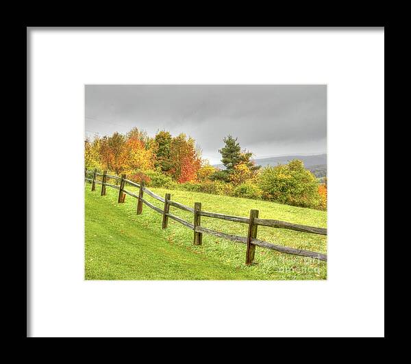 Nature Framed Print featuring the photograph A Highland Forest Autumn by Rod Best