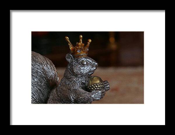 Squirrel Framed Print featuring the photograph A King for A Day by Yvonne Wright