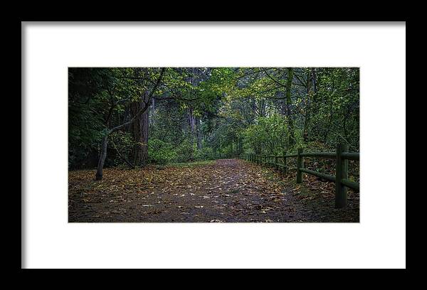 Park Framed Print featuring the photograph A Lincoln Park Autumn by Ken Stanback