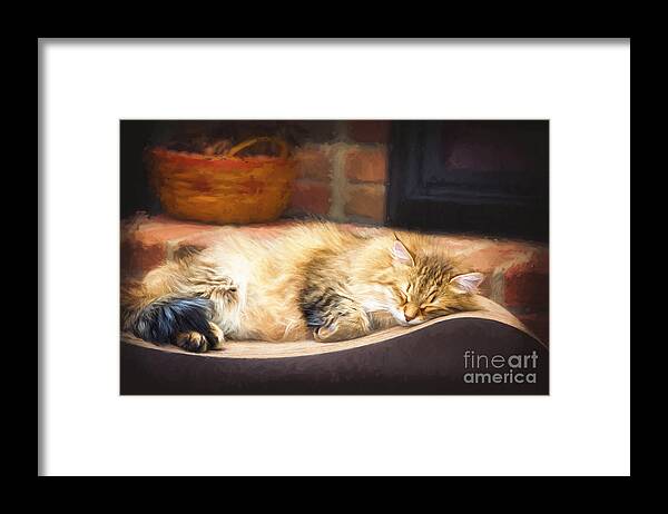 Cat Framed Print featuring the digital art A Long Winter's Nap by Sharon McConnell