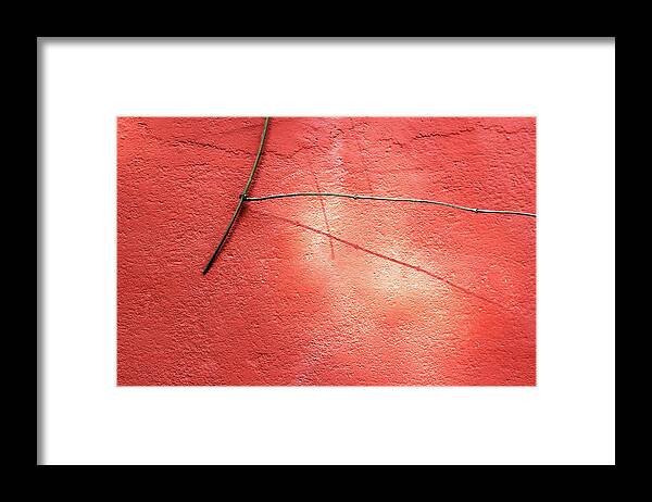 Minimal Framed Print featuring the photograph Low Hanging Twig of a Plant against a Red Wall by Prakash Ghai