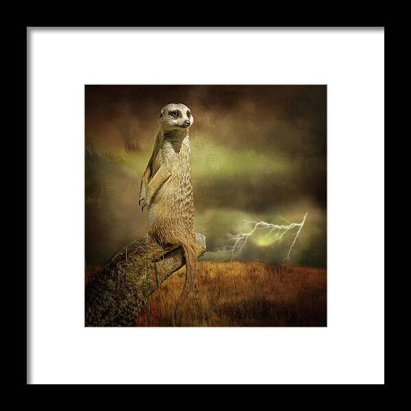 Fineartphotography Framed Print featuring the photograph A Meerkat Stands On Sentry Duty As A by Margaret Goodwin