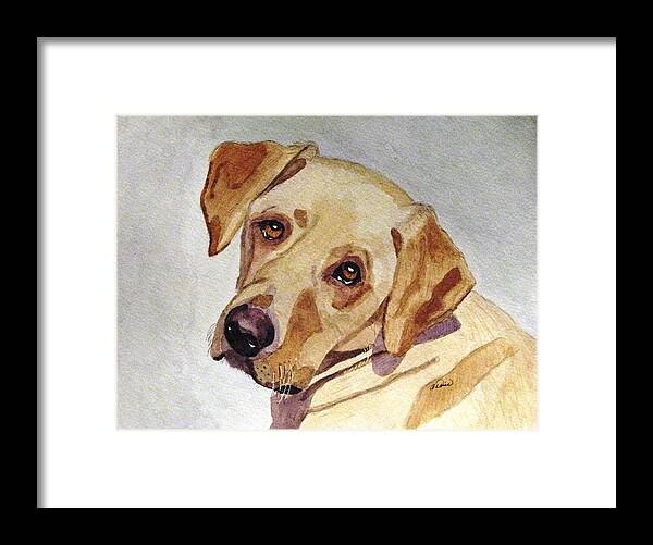 Yellow Lab Framed Print featuring the painting A Mellow Yellow by Angela Davies