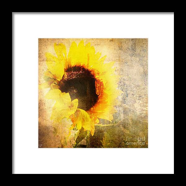 Manipulated Framed Print featuring the photograph A Memory of Summer by LemonArt Photography