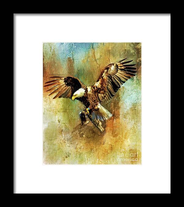 Eagle Framed Print featuring the photograph A Mighty Wingspan by Eleanor Abramson