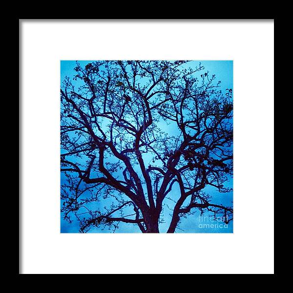 Tree Framed Print featuring the photograph A Moody Broad by Denise Railey