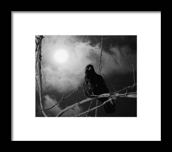 Moon Crow Framed Print featuring the mixed media A Moonlicht Nicht by I'ina Van Lawick