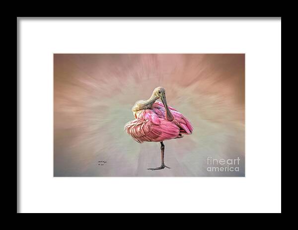 Birds Framed Print featuring the photograph A Mother Nature's Masterpiece by DB Hayes