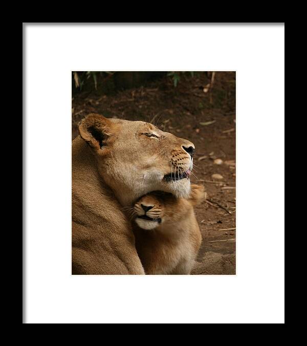 Laurie Lago Rispoli Framed Print featuring the photograph A Mother's Love by Laurie Lago Rispoli