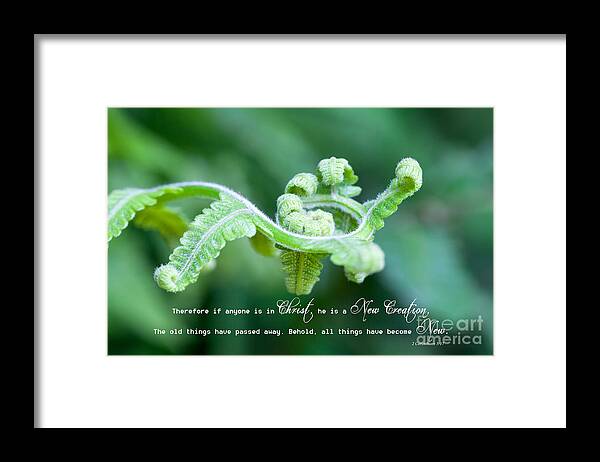2 Corinthians 5:17 Framed Print featuring the photograph A New Creation by Diane Macdonald