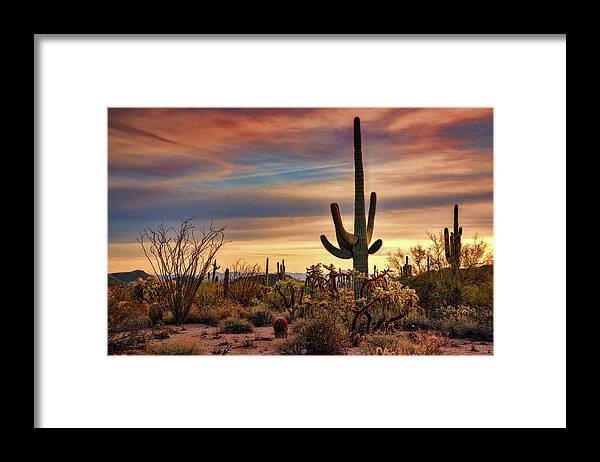 Saguaro Sunset Framed Print featuring the photograph A Pastel Desert Winter by Saija Lehtonen