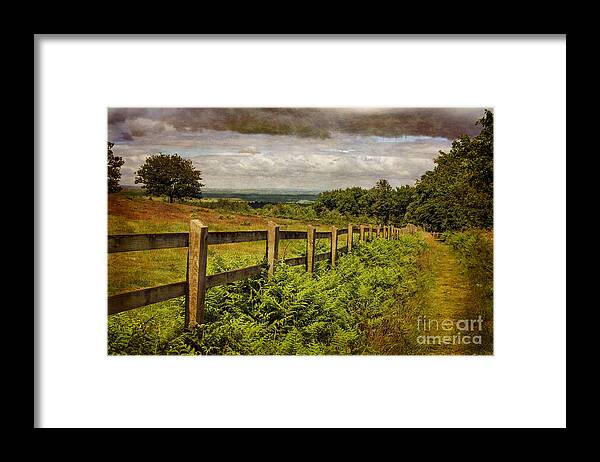 Leading Lines Framed Print featuring the photograph A Path From A Hill by Linsey Williams