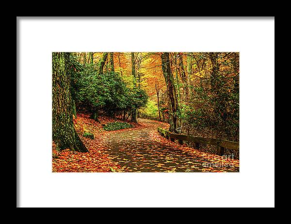 Virginia Framed Print featuring the photograph A Path through Autumn by Darren Fisher