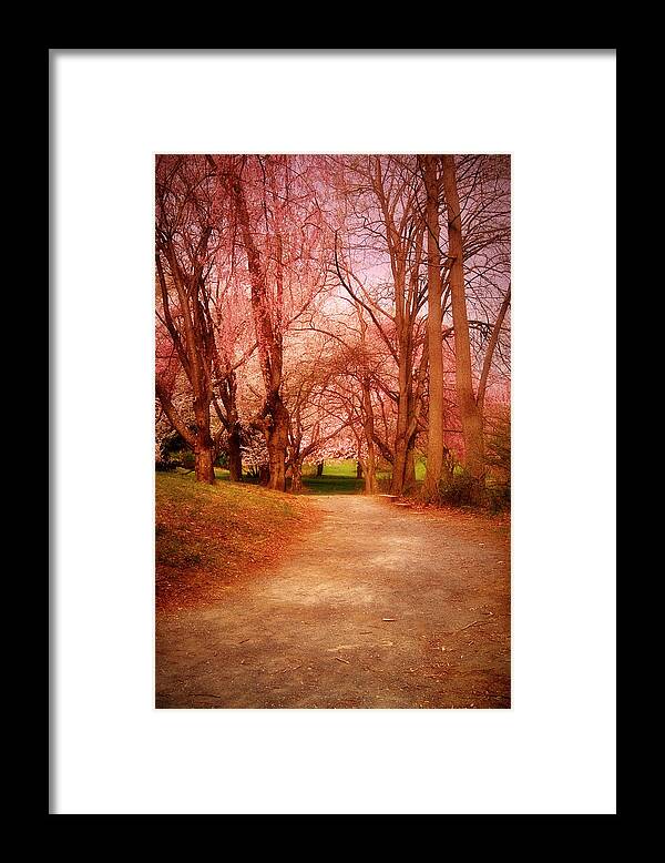 Cherry Blossom Trees Framed Print featuring the photograph A Path To Fantasy - Holmdel Park by Angie Tirado