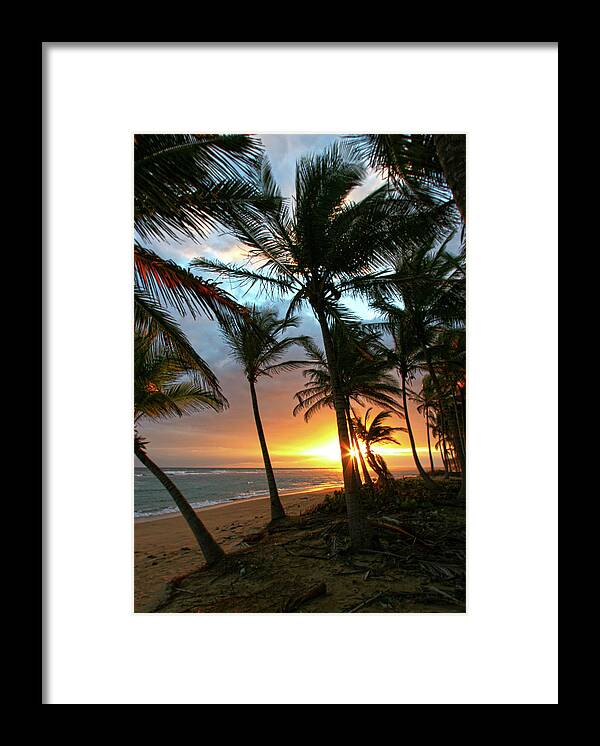 Palms Framed Print featuring the photograph A Place I Know by Robert Och