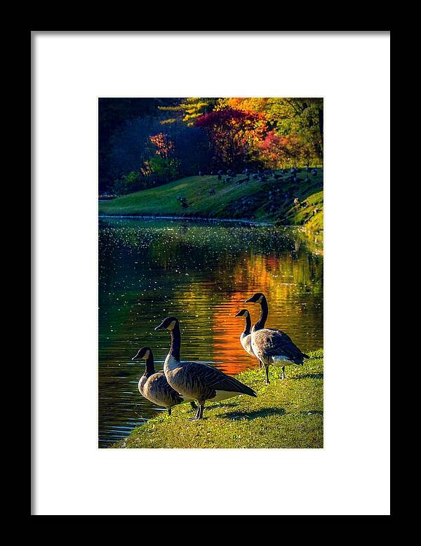  Framed Print featuring the photograph A place in the sun by Kendall McKernon