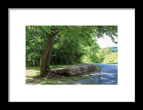 Park Framed Print featuring the photograph A Place to Rest by K Bradley Washburn