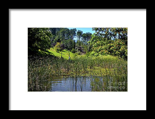 Michelle Meenawong Framed Print featuring the photograph A Pond by Michelle Meenawong