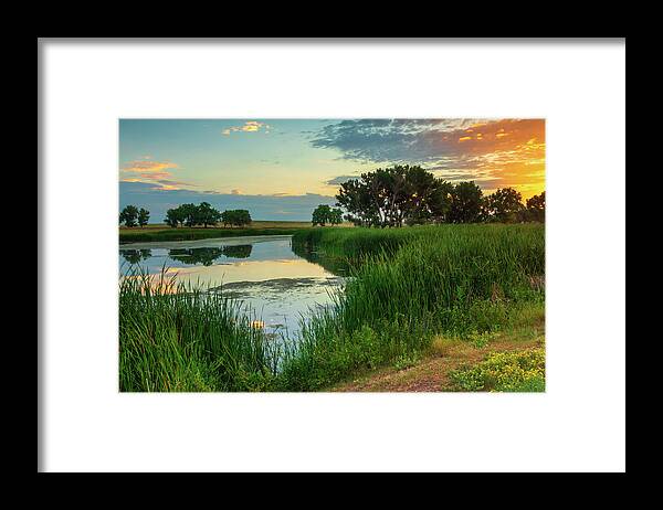Colorado Framed Print featuring the photograph A Portrait Of Summer by John De Bord