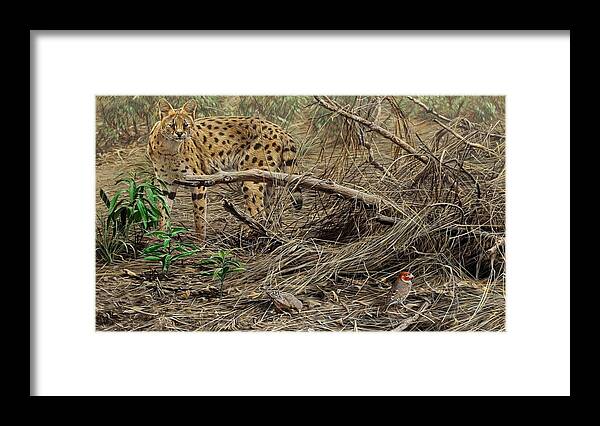 Serval Framed Print featuring the painting A Quiet Approach by Alan M Hunt