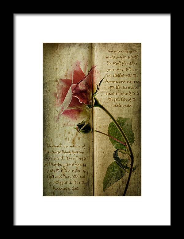 Aged Framed Print featuring the photograph A Rose by Ann Garrett