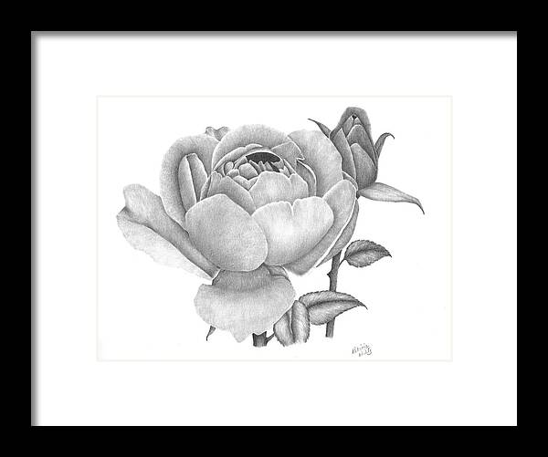 Rose Framed Print featuring the drawing A Rose Bloom by Patricia Hiltz