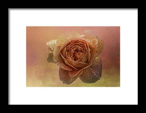 Flowers Framed Print featuring the photograph A Rose for Mother's Day by Peggy Blackwell