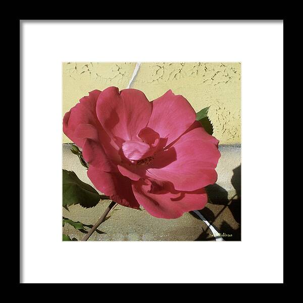 Abstract Framed Print featuring the painting A Rose Is A Rose by Herb Dickinson