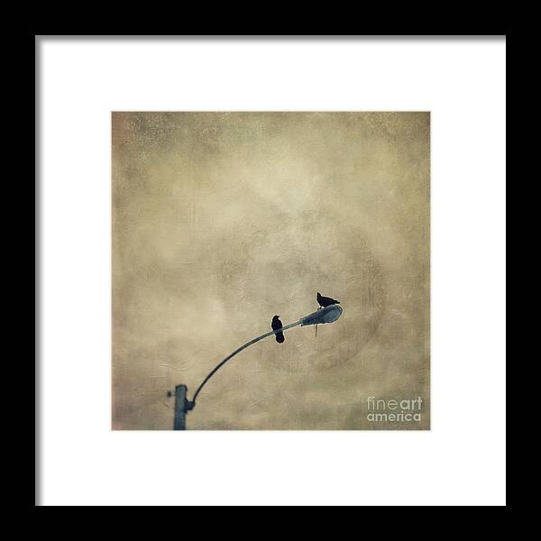 Raven Framed Print featuring the photograph A Short Moment by Priska Wettstein
