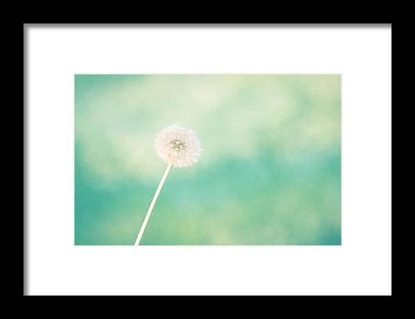 Dandelion Framed Print featuring the photograph A Single Wish by Amy Tyler
