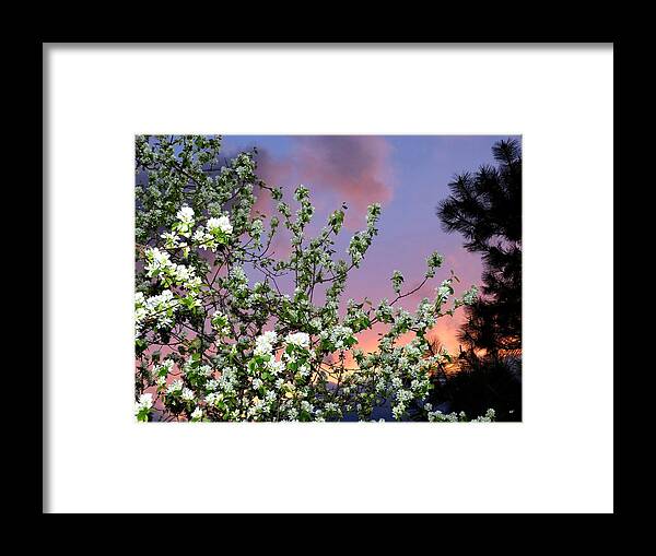 #asplendidtimeofday Framed Print featuring the photograph A Splendid Time Of Day by Will Borden