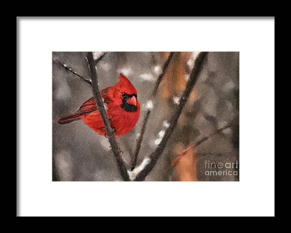 Cardinal Framed Print featuring the digital art A Spot Of Color by Lois Bryan