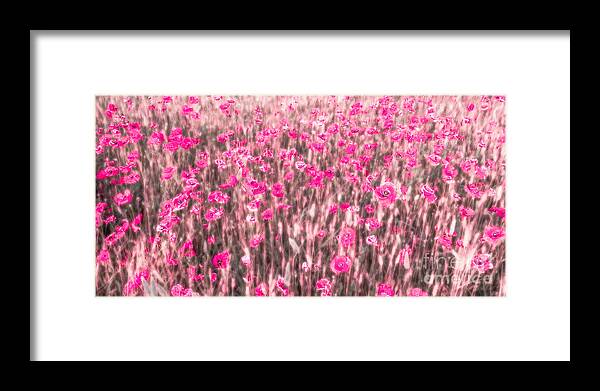 Abstract Framed Print featuring the photograph A Summer Full Of Poppies by Hannes Cmarits