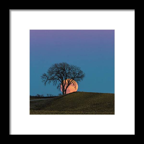 Big Tree Framed Print featuring the photograph A Super Evening by Penny Meyers