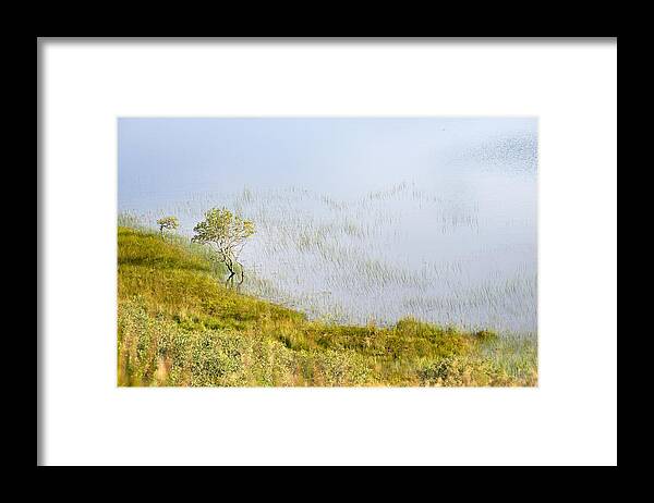 Tree Framed Print featuring the photograph A tree in the Lake of the Scottish Highland by Dubi Roman