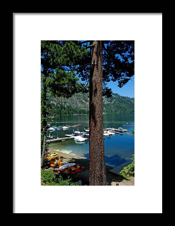 Usa Framed Print featuring the photograph A Trees View of Fallen Leaf Lake by LeeAnn McLaneGoetz McLaneGoetzStudioLLCcom