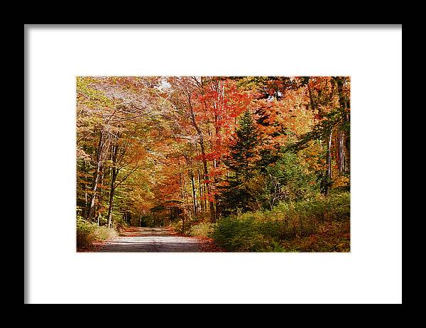 Mount Jefferson Framed Print featuring the photograph A view up Jefferson Notch road by Jeff Folger
