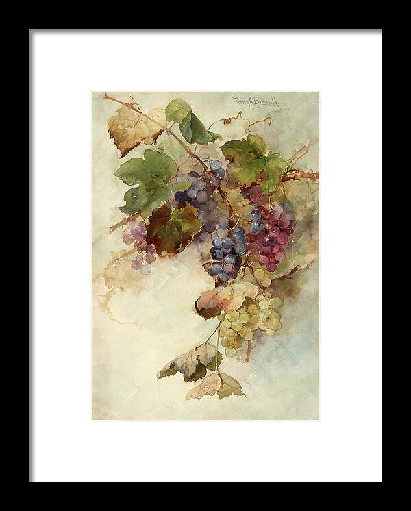 A Vine Of Grapes Framed Print featuring the painting A vine of grapes by Franz Arthur Bischoff