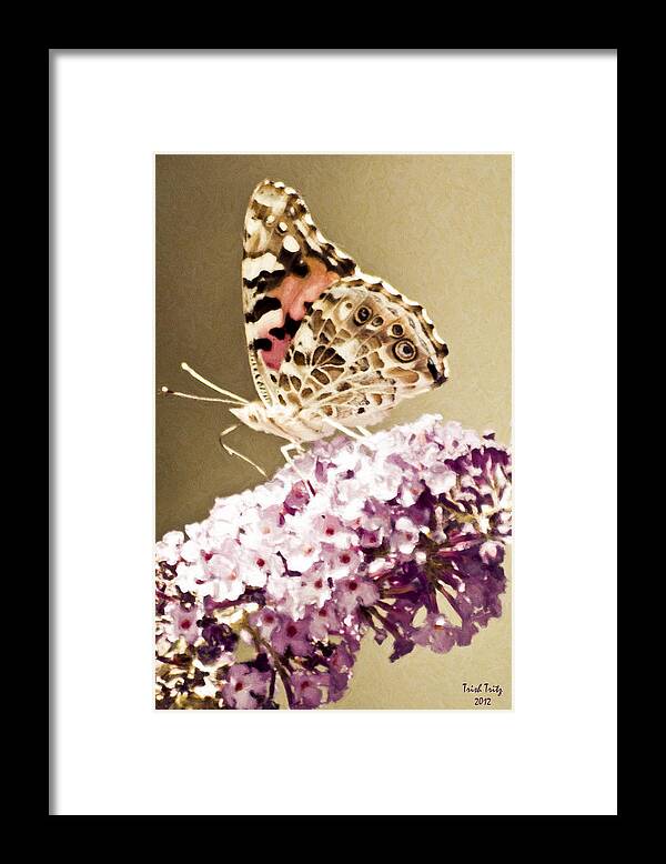 Butterfly Framed Print featuring the photograph A Visit From Pat by Trish Tritz