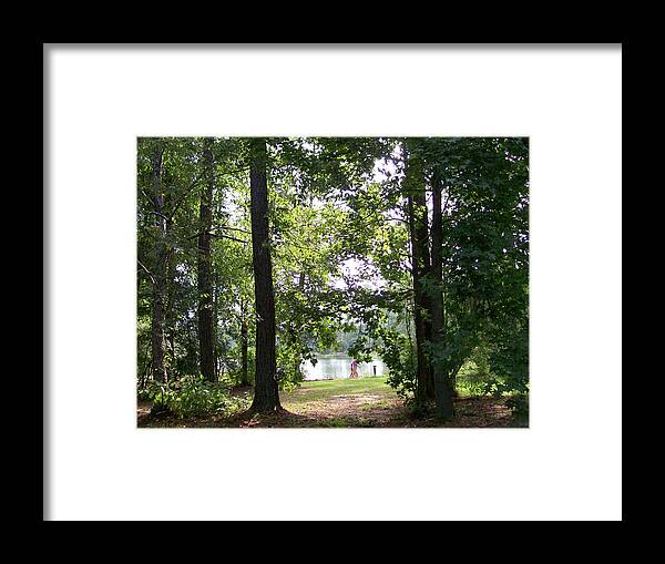 Trees Framed Print featuring the photograph A Walk by the Lake by Diane Ferguson