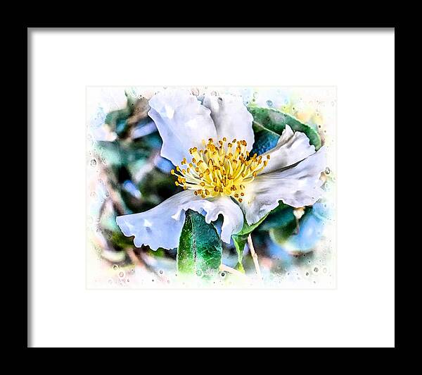 Flower Framed Print featuring the digital art A Walk in the Garden by Ches Black